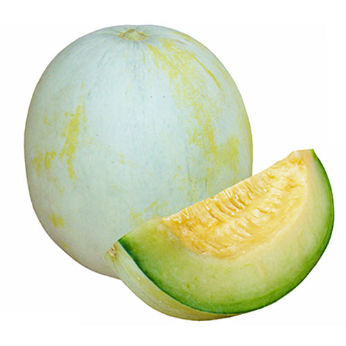 00 プリンスメロン Prince Melon 500g-700g/each each out of season