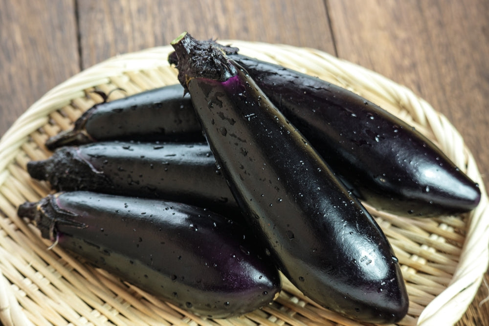 中長なす EGGPLANT (JAPANESE SEED) GROW IN LA NASU