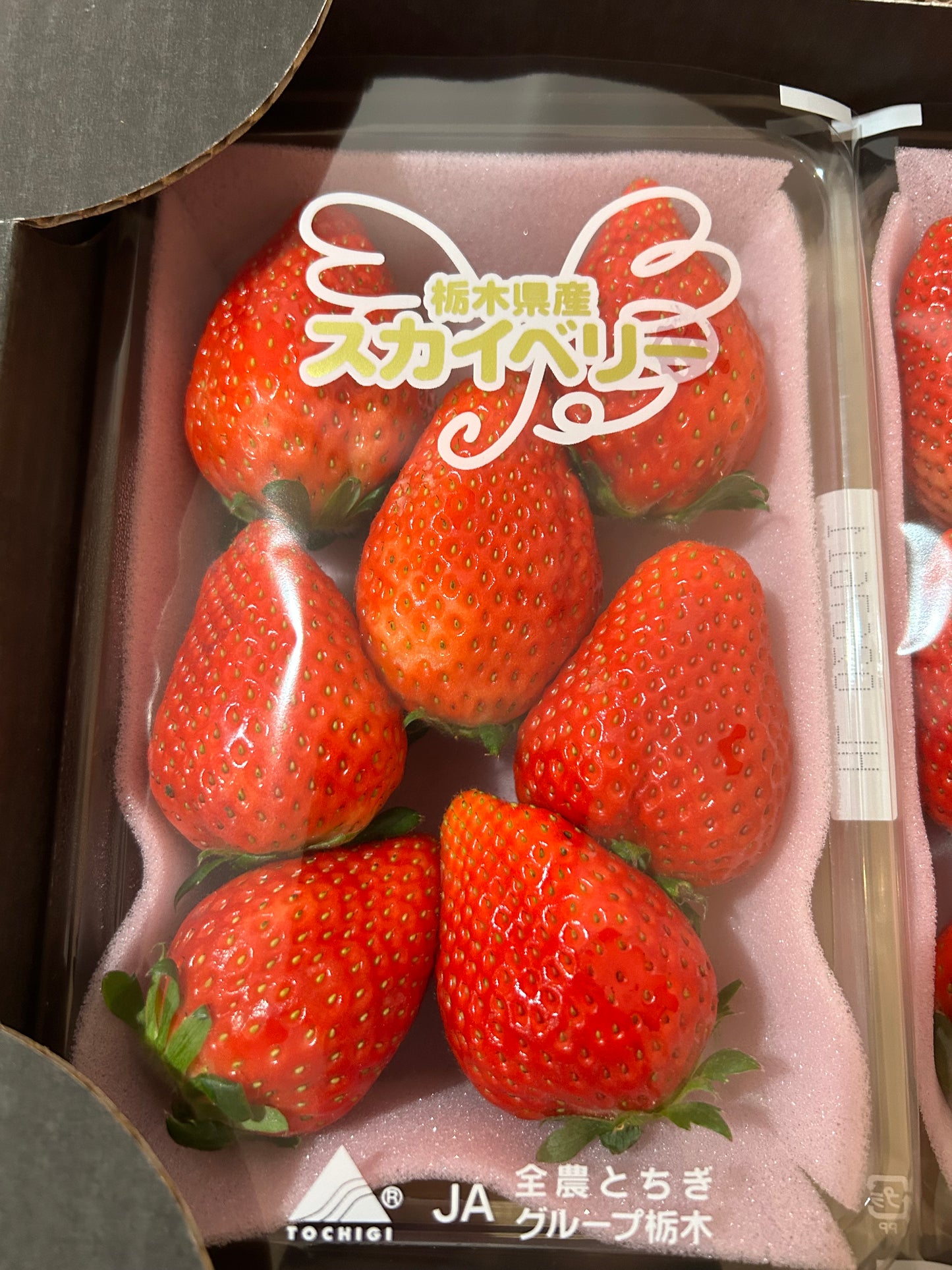 日本イチゴ 「スカイベリー」DX 1 BOX(2PACK) SEASON END