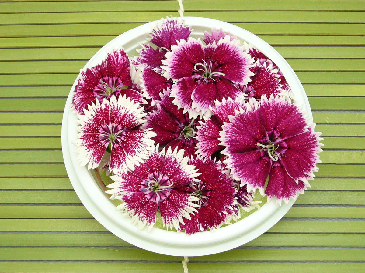 00 NEW EDIBLE FLOWERS Diana ダイアナ 80G
