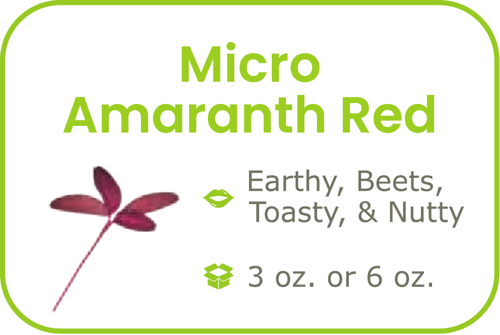 Micro Amaranth Red start from 09/15/2026