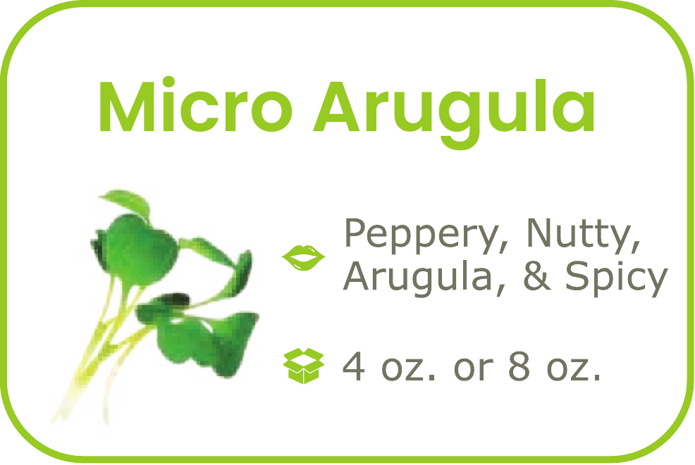 Micro Arugula start from 09/15/2026