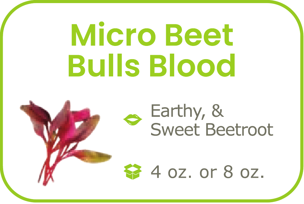Micro Beet Bulls Blood- start from 09/15/2026