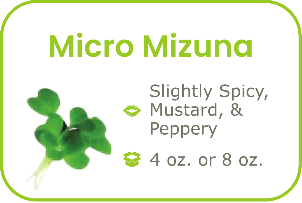 Micro Mizuna - start from 09/15/2026