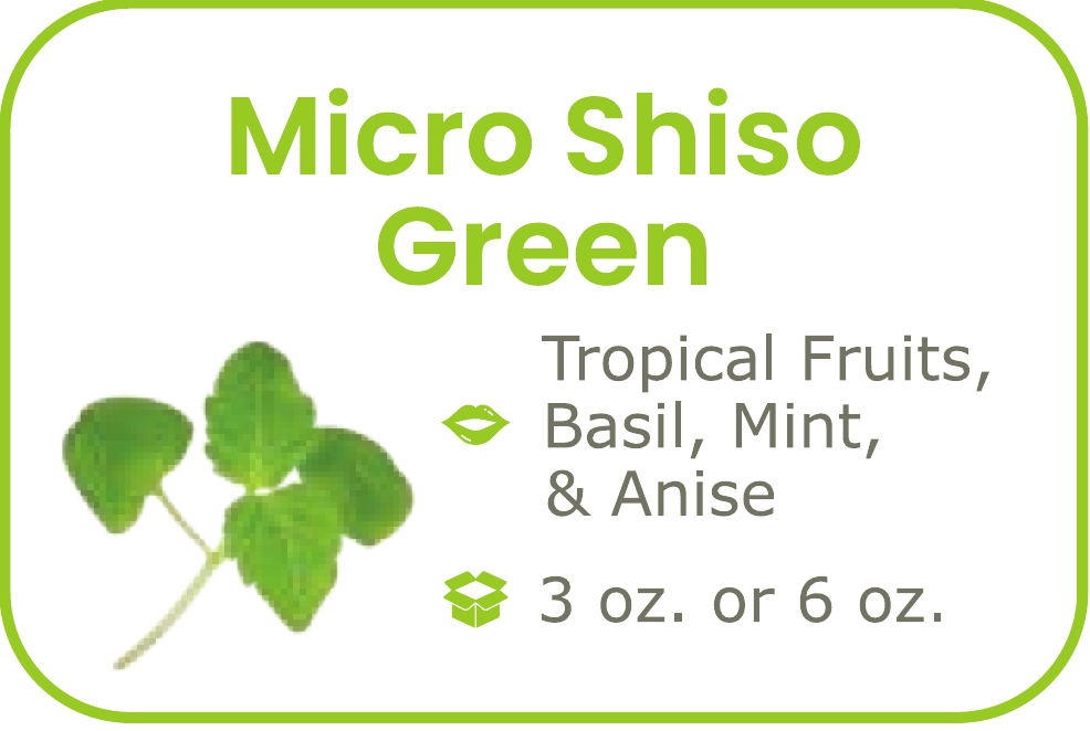 Micro Shiso Green - start from 09/15/2026