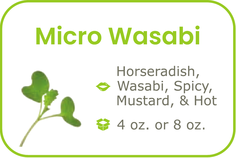 Micro wasabi - start from 09/15/2026
