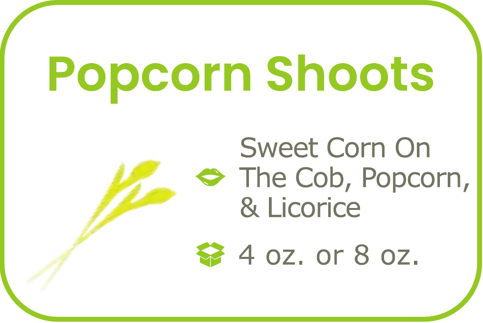 Popcorn Shoots start from 09/15/2026