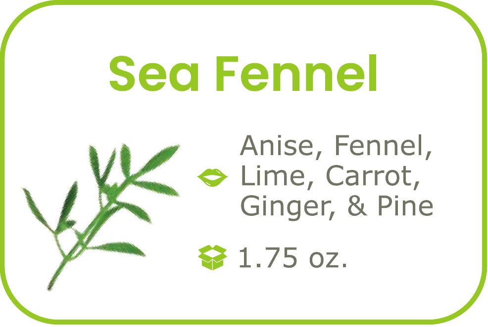 Sea Fennel start from 09/15/2026