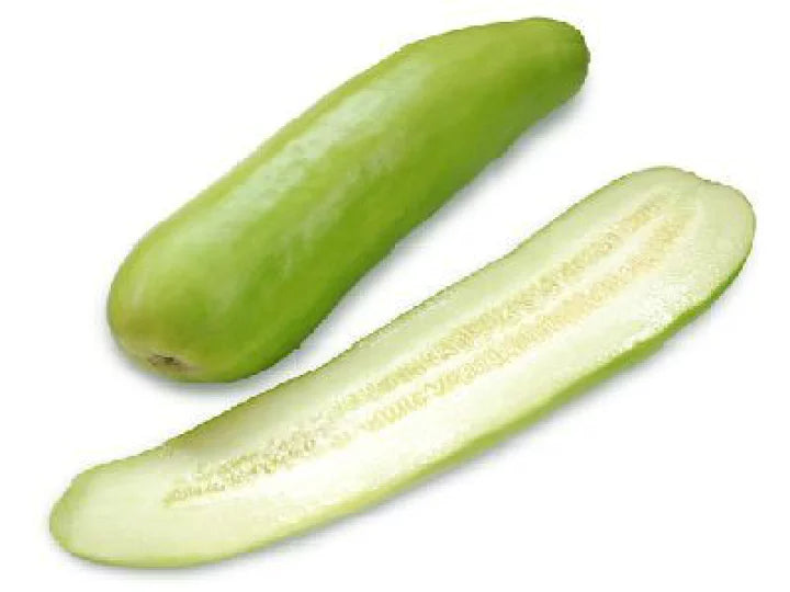 00 白瓜 White Pickling Melon ツケウリ