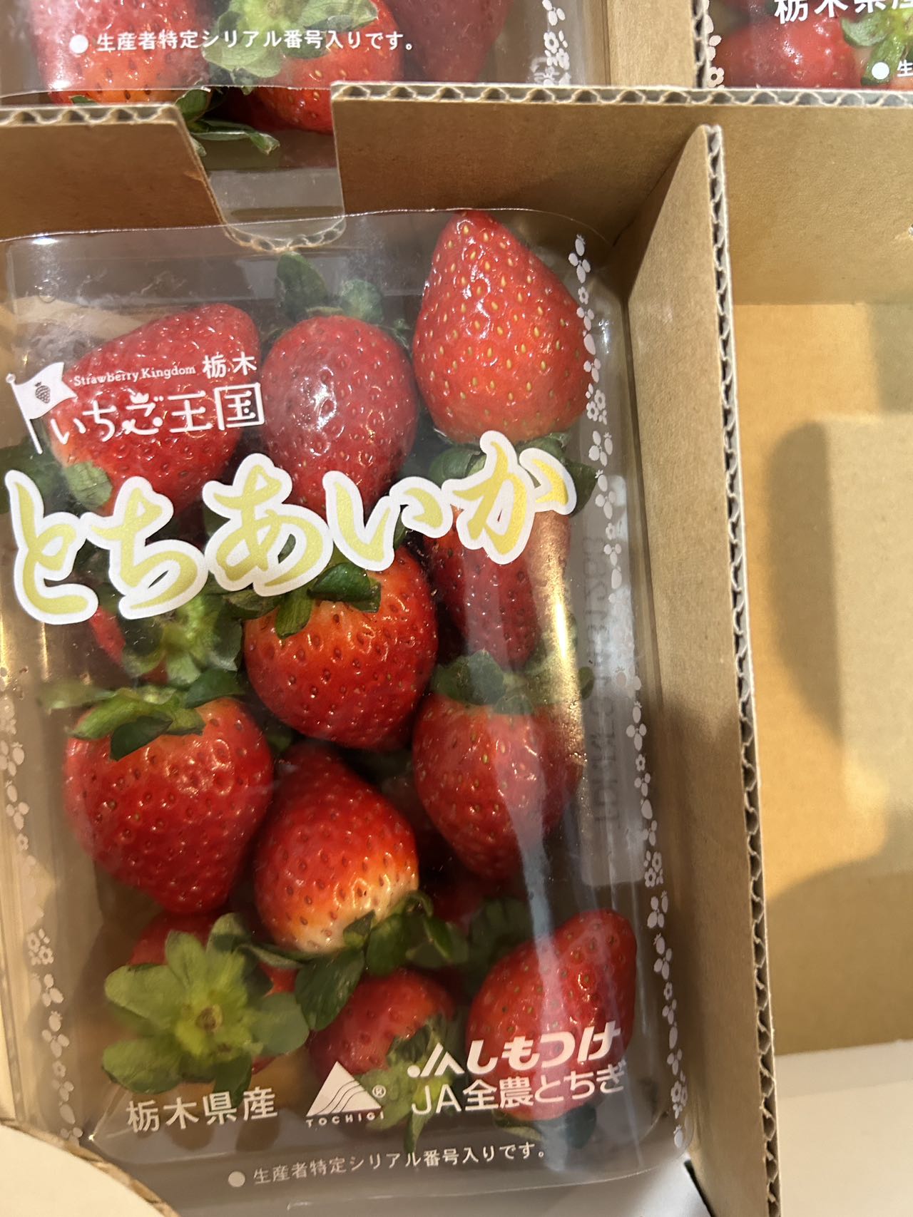 日本イチゴ「とちあいか」around 7p-9p/pack SATURDAY DELIVER ONLY