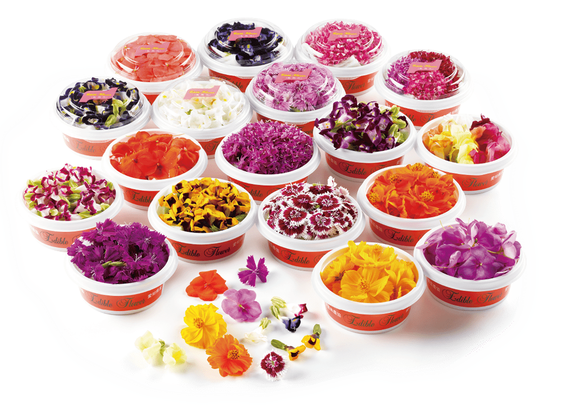 NEW EDIBLE FLOWERS エディブルフラワー(白)(アリッサム)Alyssum 80G