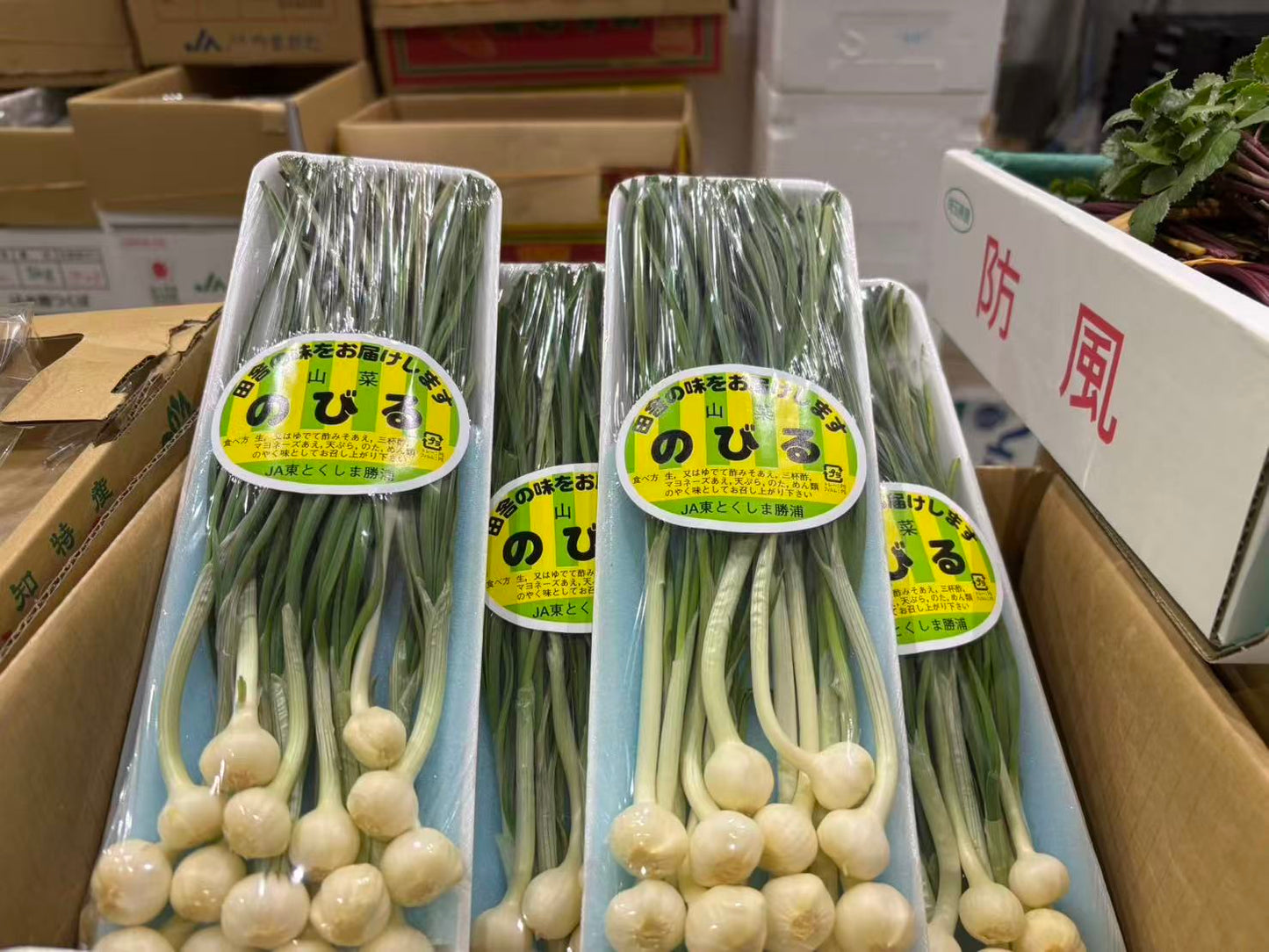 0 NEW NOBIRU のびる 100G 徳島県