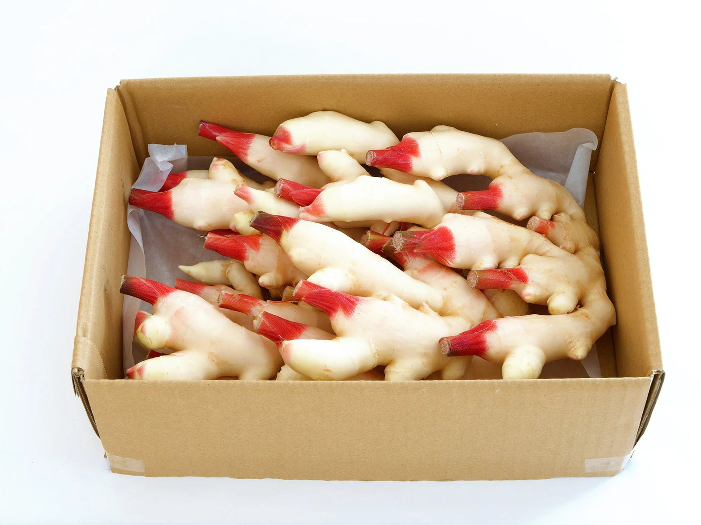 NEW 日本産 新生姜 NEW GINGER 4kg Case only