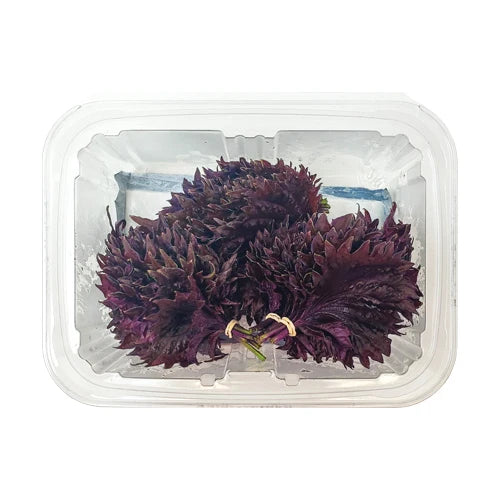 Shiso Purple Leaves 赤紫蘇大葉 ooba 50CT