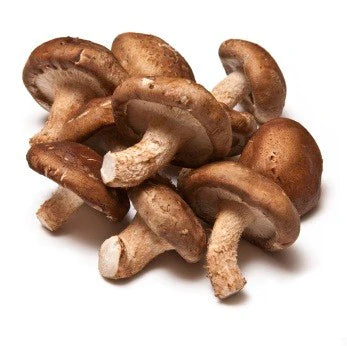 【USA】 SHIITAKE MUSHROOM-3 LB/BOX
