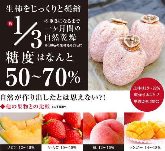 00 Dry Persimmons 市田柿 干し柿 800g 長野県産  大容量 | 柿 干柿 ほしがき  ドライフルーツ 国産 高糖度  自然食品 冷凍 GIマーク認証 2026