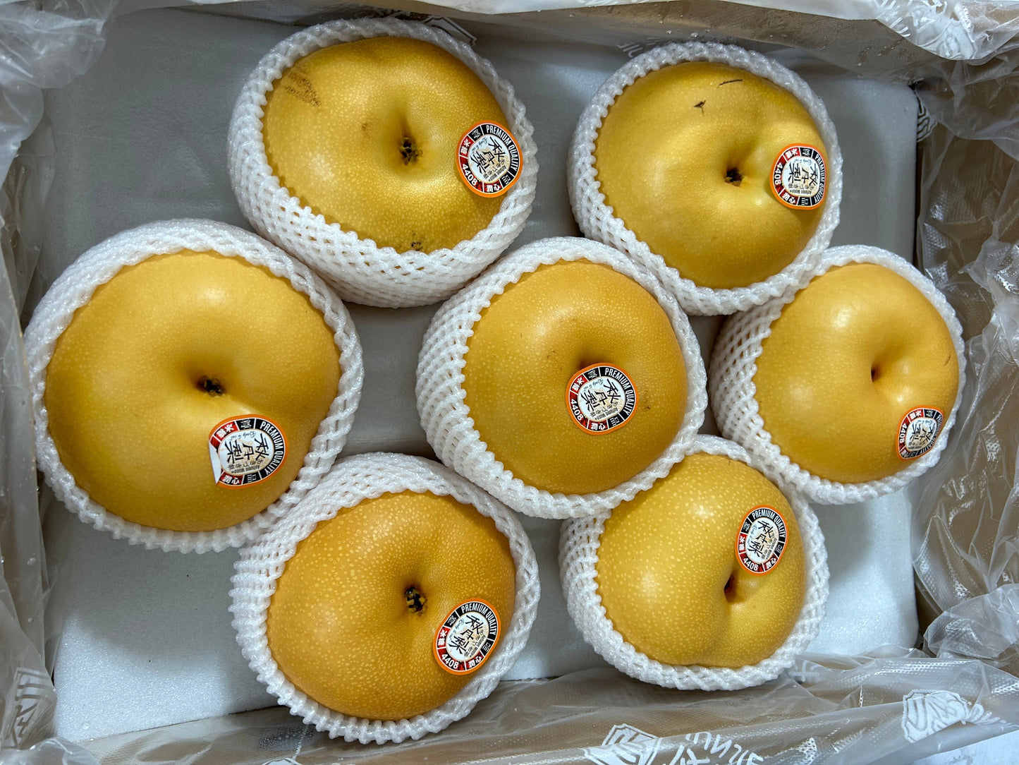 【CHINA】JAPANESE SEED PREMIUM PEAR