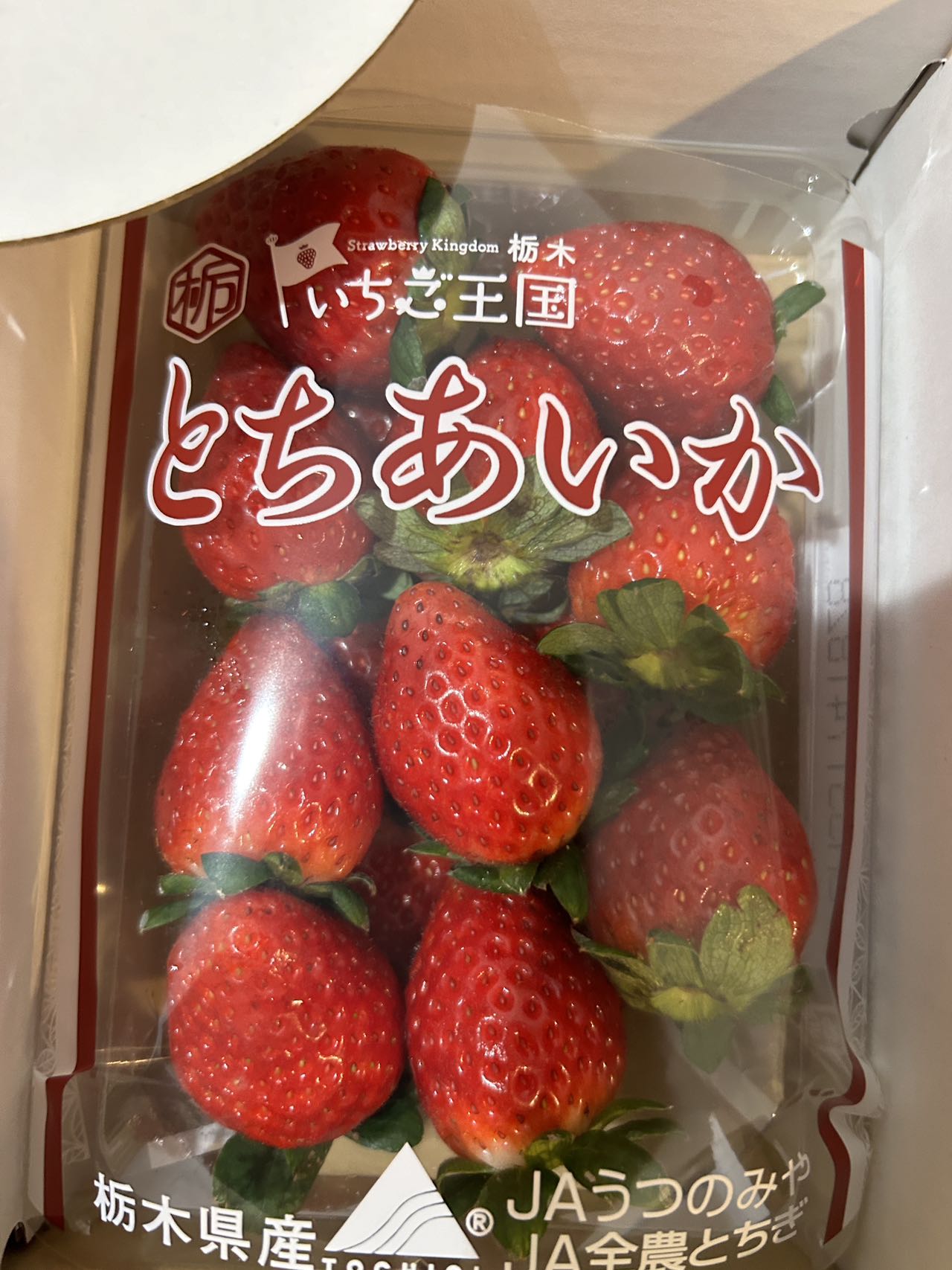 日本イチゴ「とちあいか」around 7p-9p/pack SATURDAY DELIVER ONLY