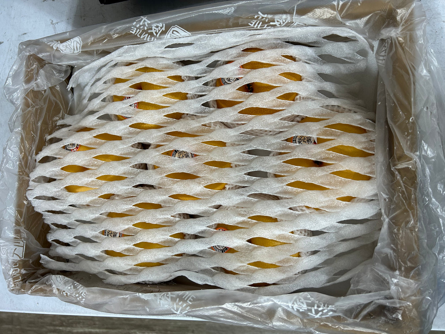 【CHINA】JAPANESE SEED PREMIUM PEAR