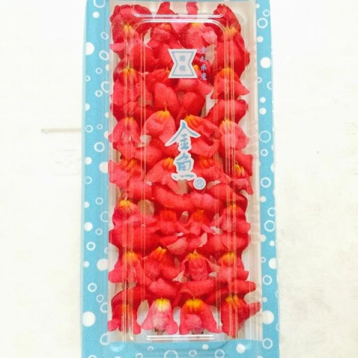 NEW 金魚草 赤 KINGYOSO RED 1 pack Edible Flowers