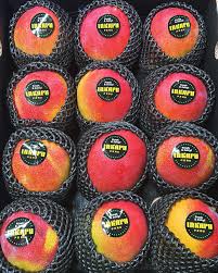 00 Peru sun fruit mango Japan Miyazaki seed