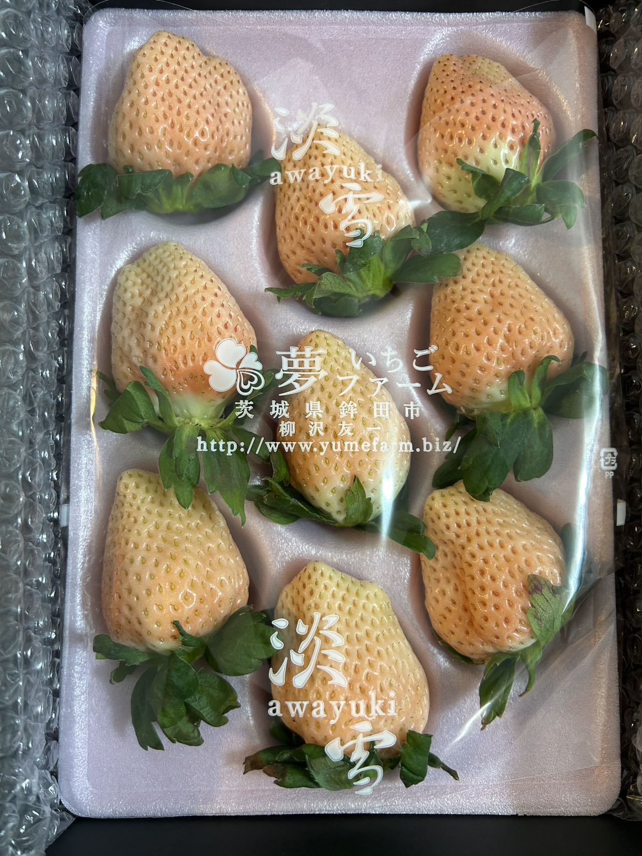 0 NEW 佐賀県産 雪うさぎ YUKI USAGI JAPANESE STRAWBERRY x 1 PACK
