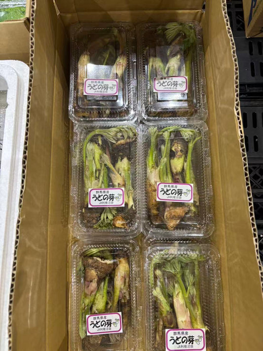 0 NEW UDO NO ME ウドの芽 50G 群馬県