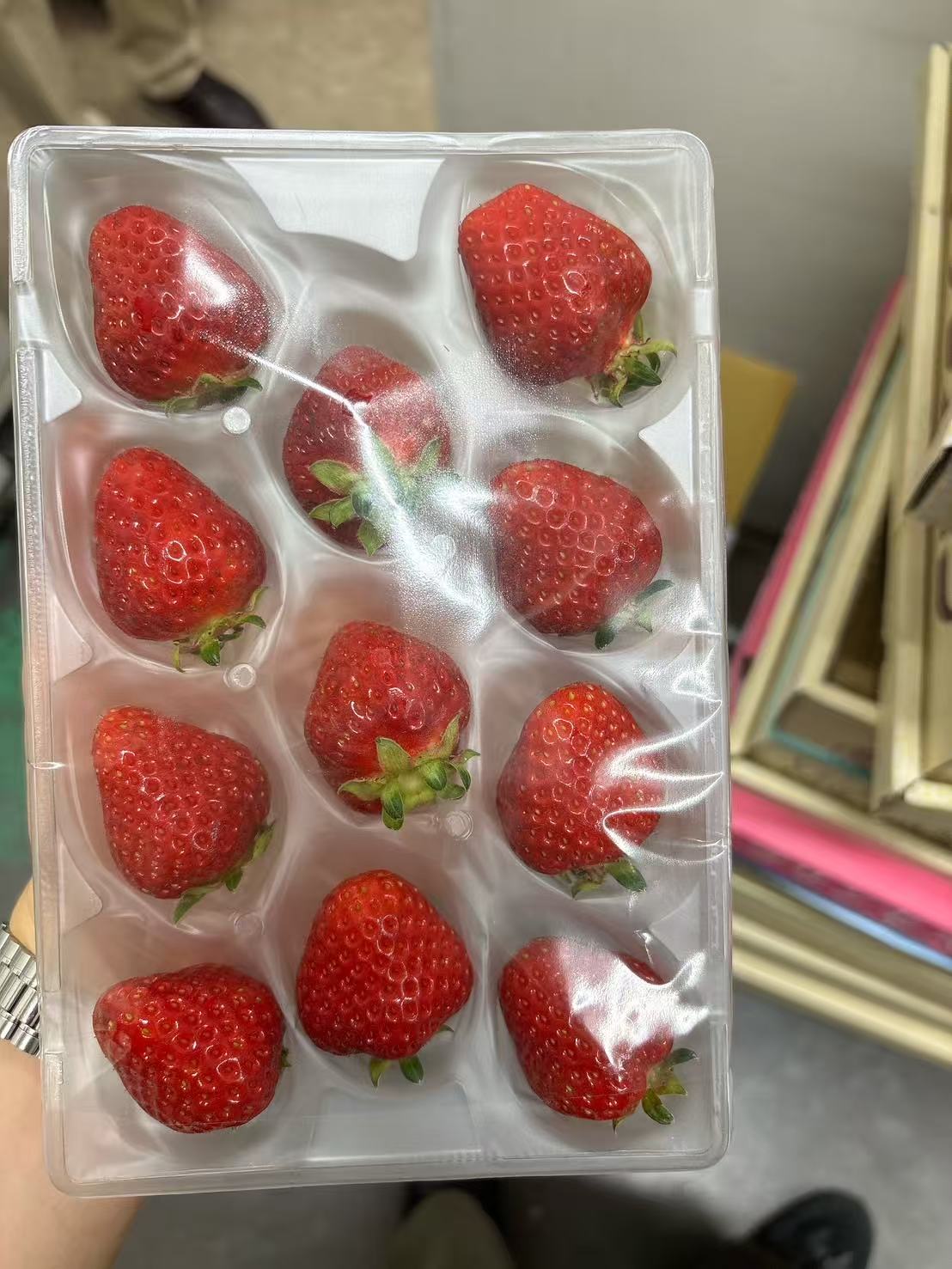 00 夏秋 いちご『彩夏』Summer-Fall Japanese Strawberry AYAKA 11p