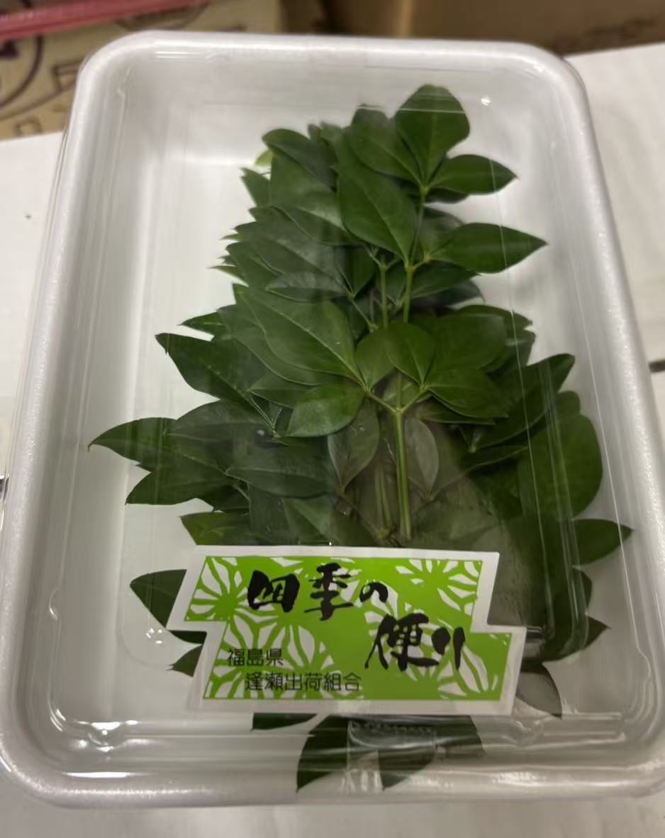 南天の葉(緑と赤両方) 50g