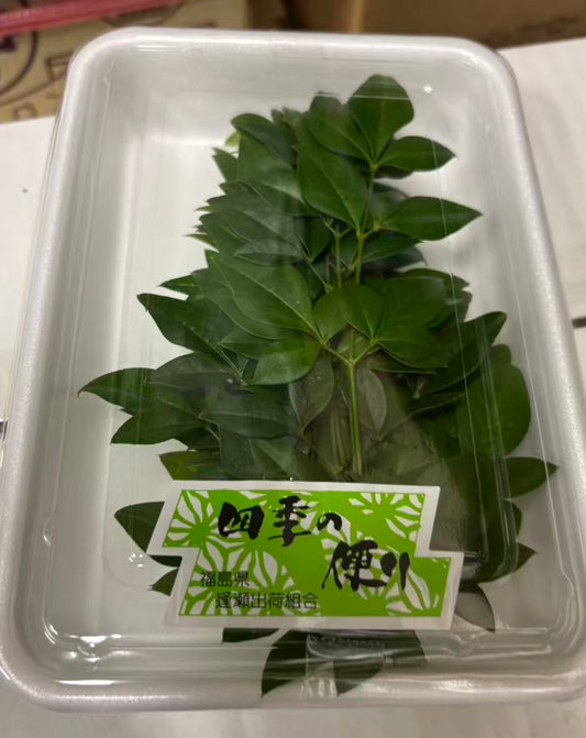 南天の葉(緑と赤両方) 50g
