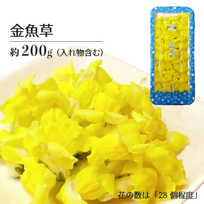NEW 金魚草 黄 KINGYOSO YELLOW 1 pack Edible Flowers