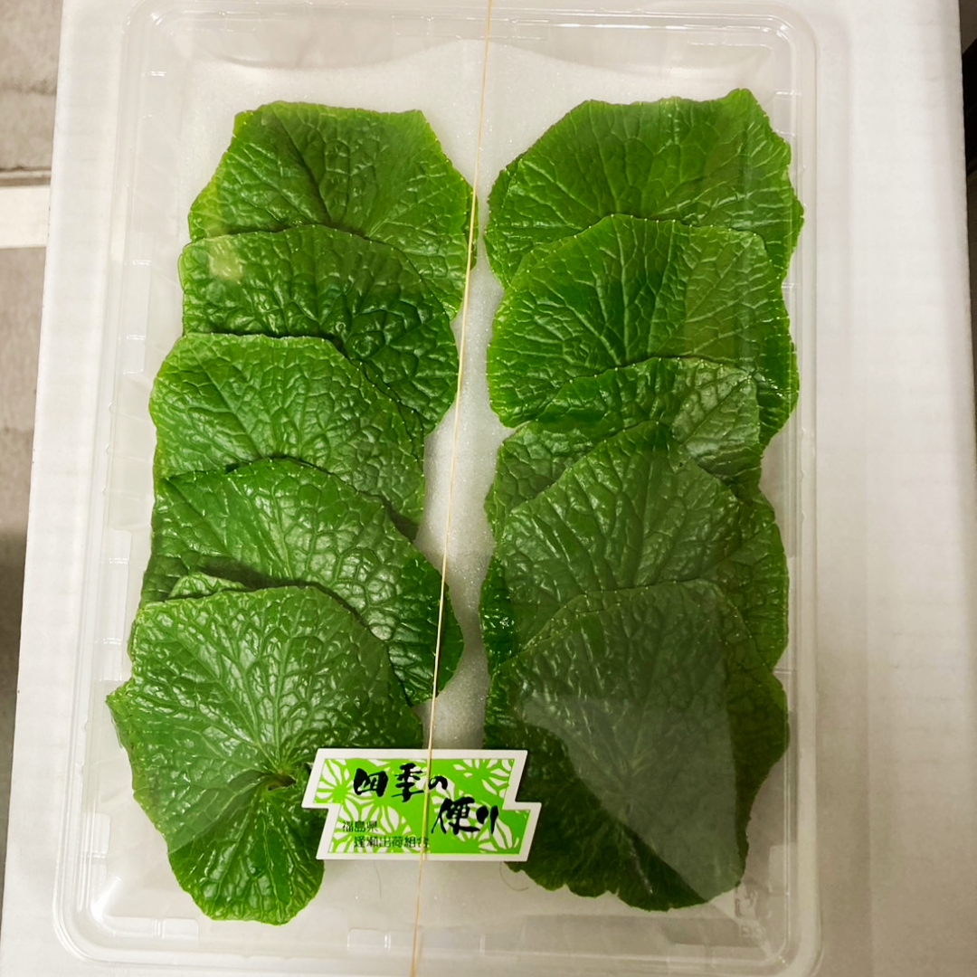 【日本産】ワサビの葉 WASABI NO HA  20PC/PACK