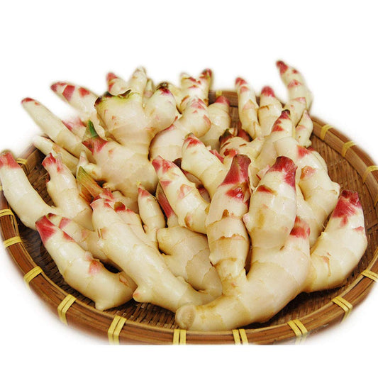 NEW 日本産 新生姜 NEW GINGER 2kg Case only