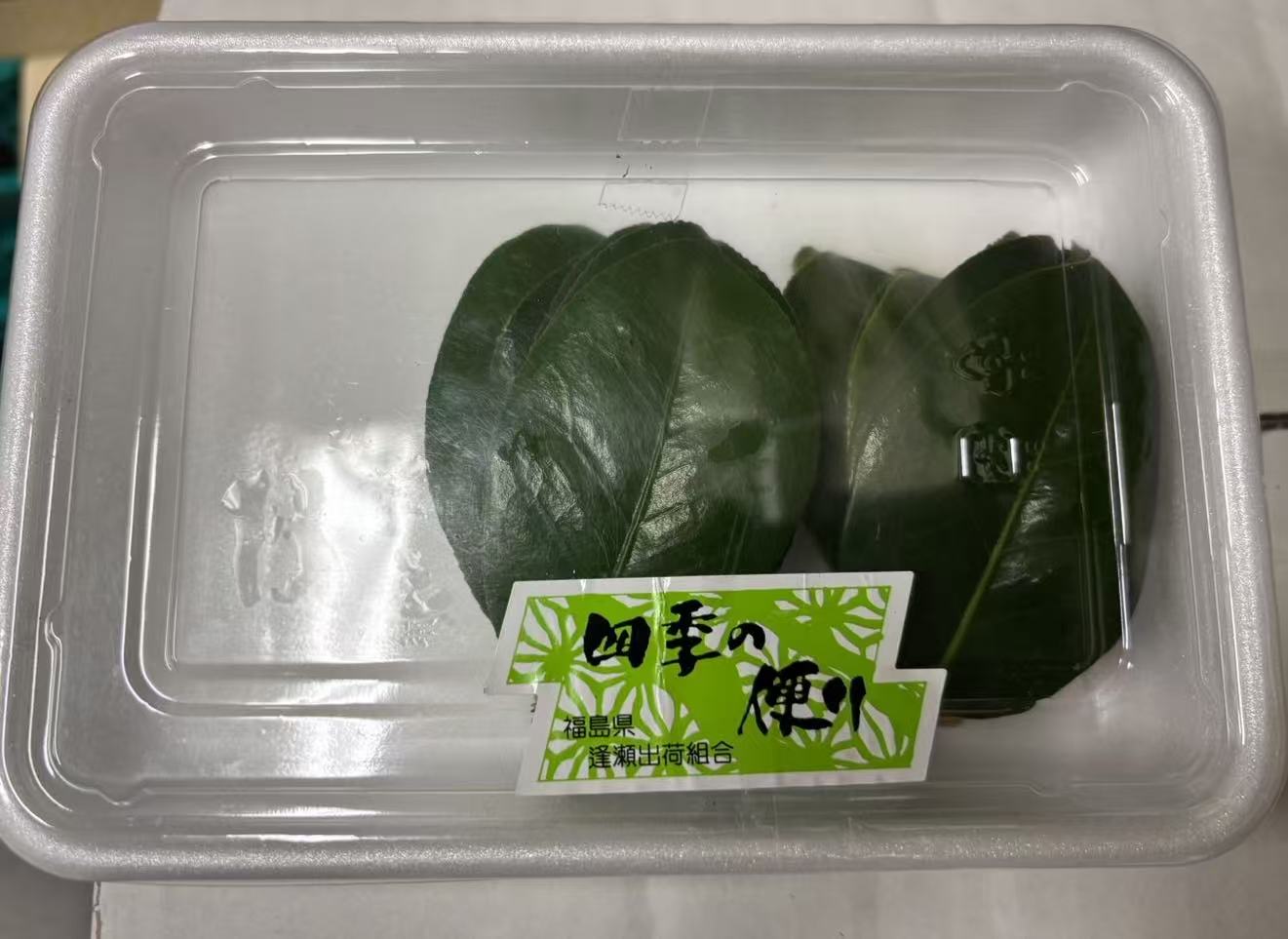 椿つばきの葉 50g