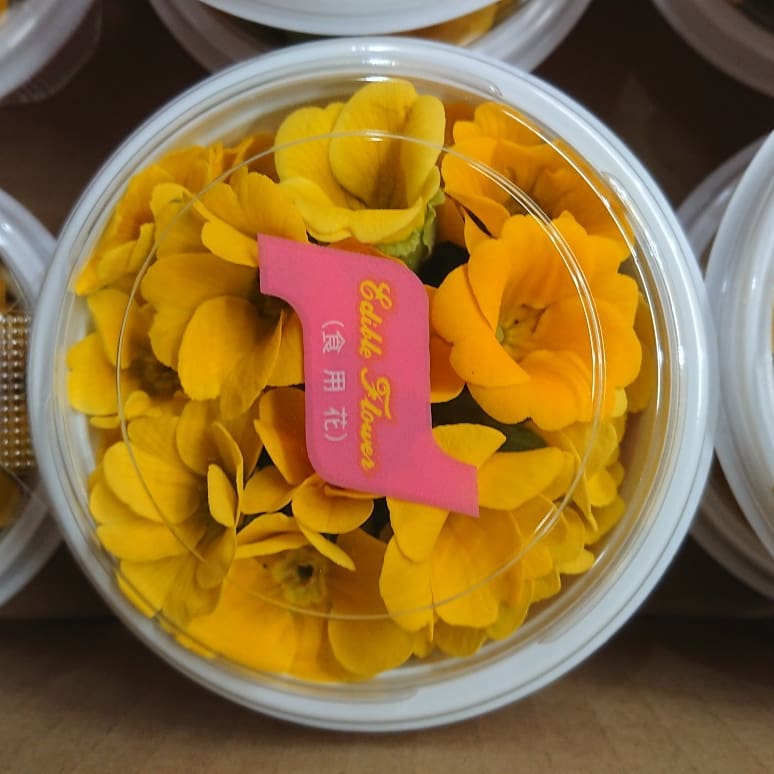 0 NEW EDIBLE FLOWERS ポニー 桜草 黄色 80G