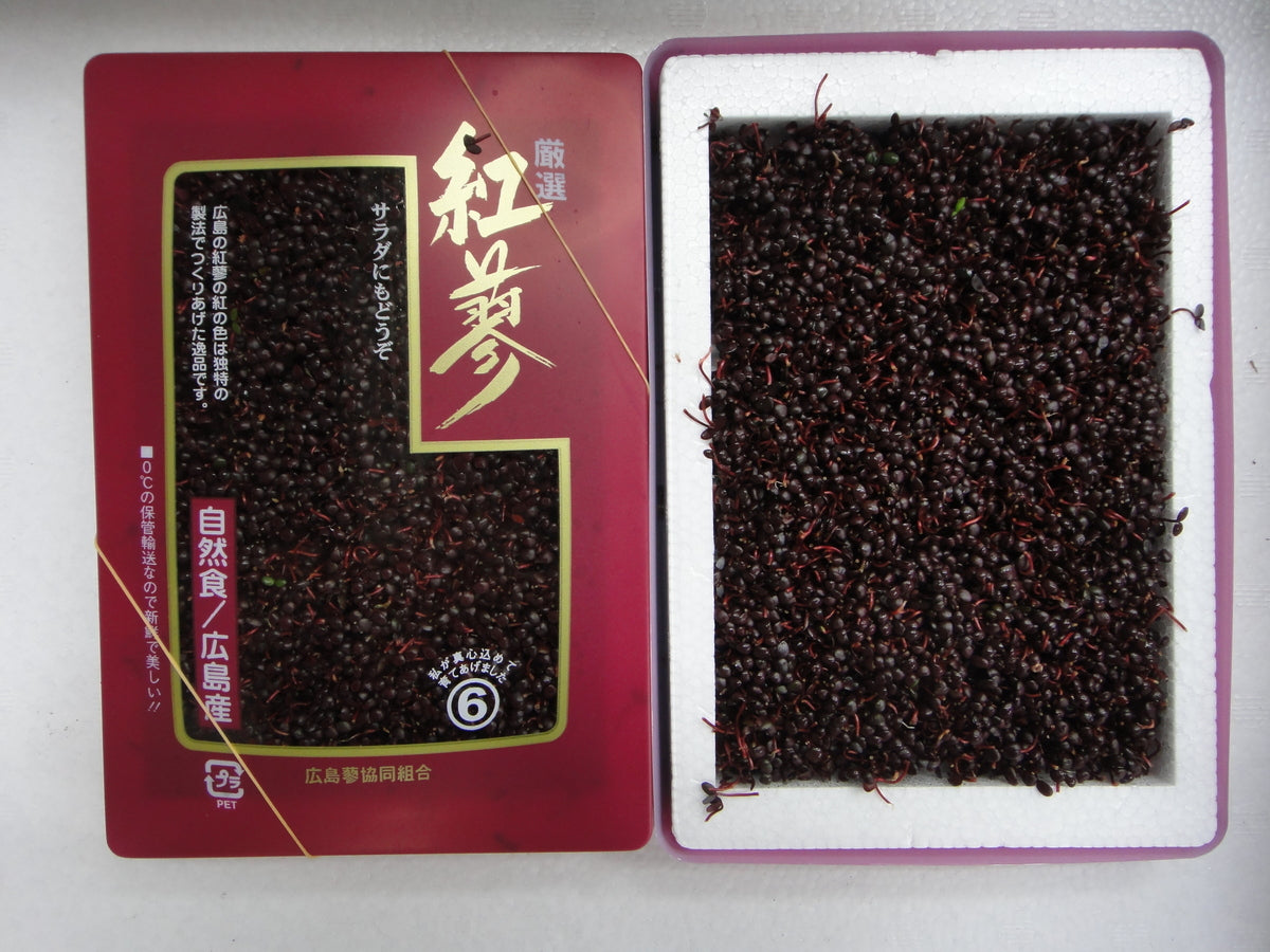 【日本産】 芽タデ　紅蓼（ベニタデ）BENITADE  40G