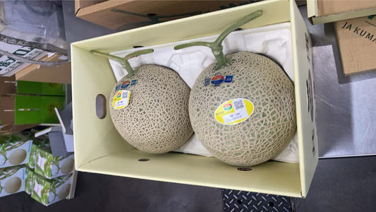 00 日本産格安メロン KING SIZE (1.7kg each)