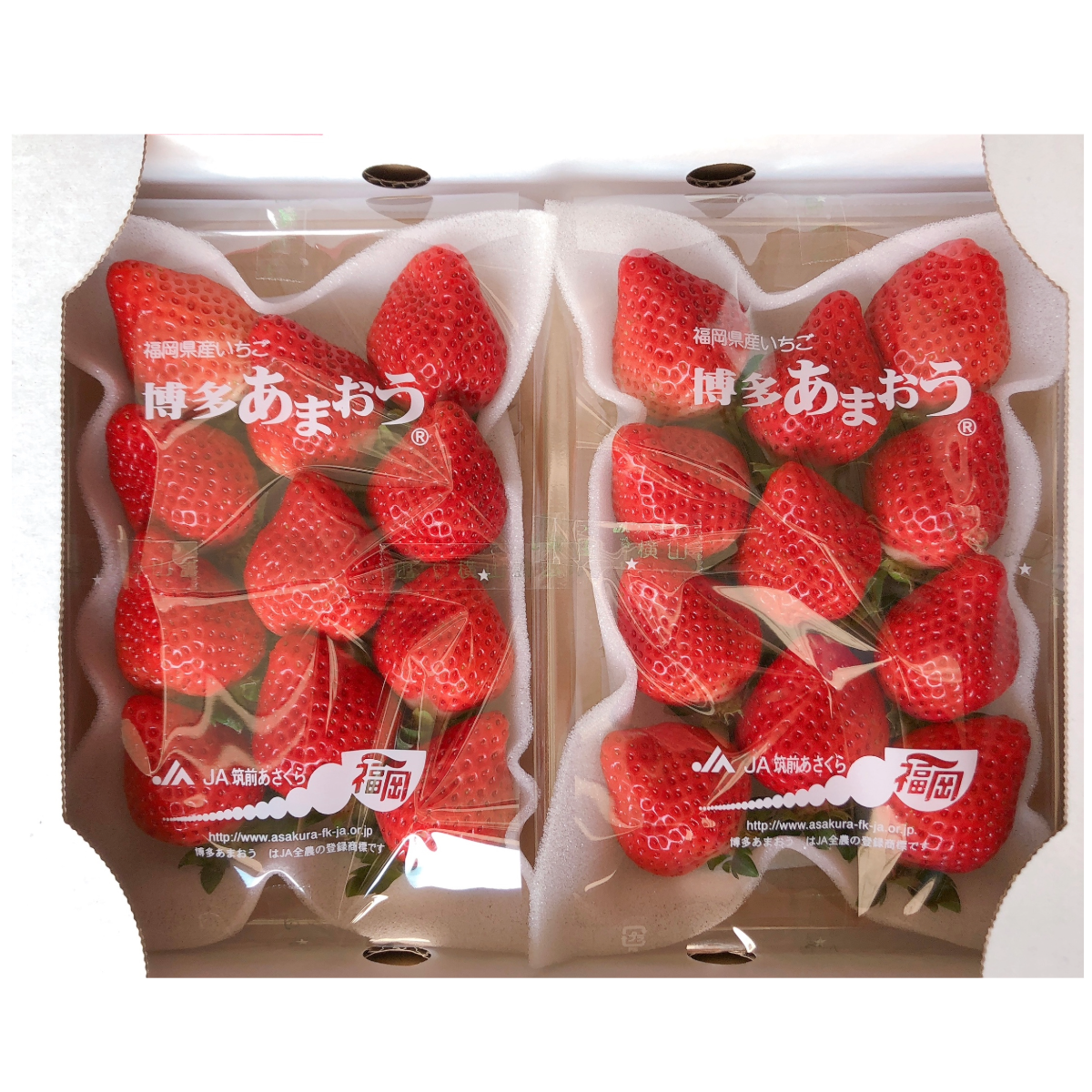 0 日本イチゴ STRAWBERRY 福岡あまおう AMAO  (around 10P) 1 PACK