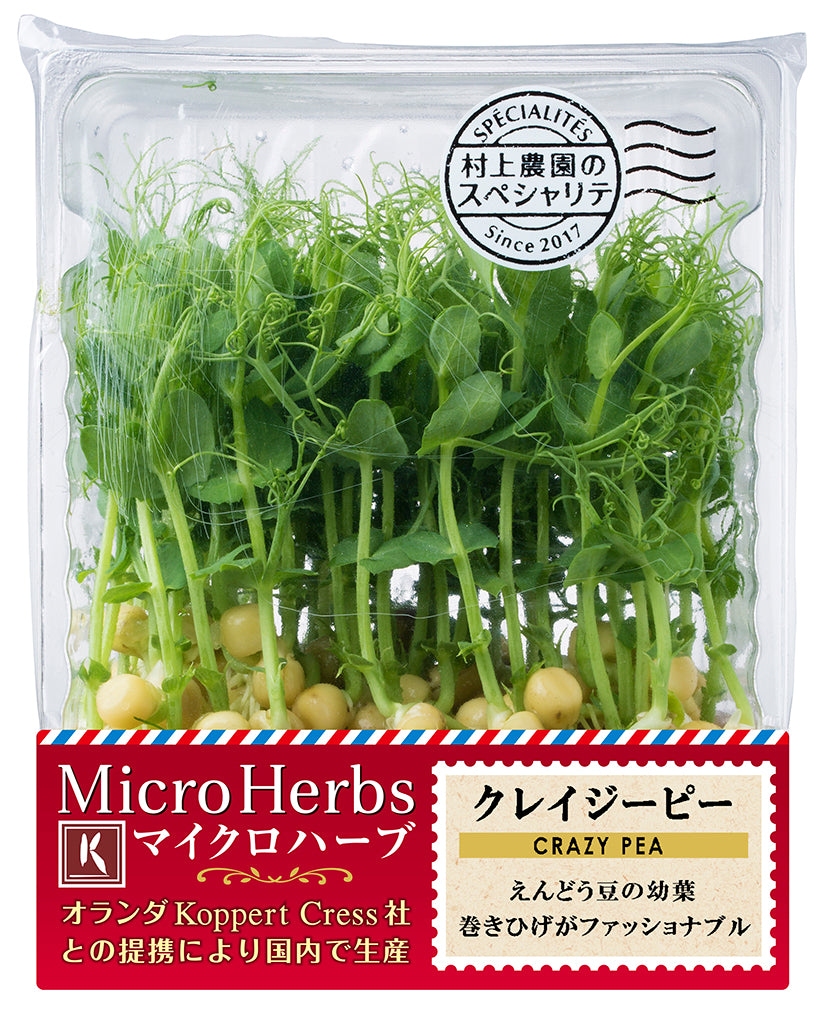 NEW MICRO HERBS CREZY BEAN SPOURT