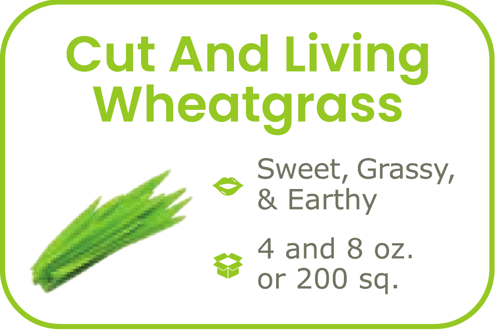 Cut And Living Wheatgrass- start from 09/15/2026