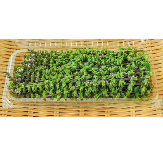 穂紫蘇 HOJISO JAPAN  1 PACK