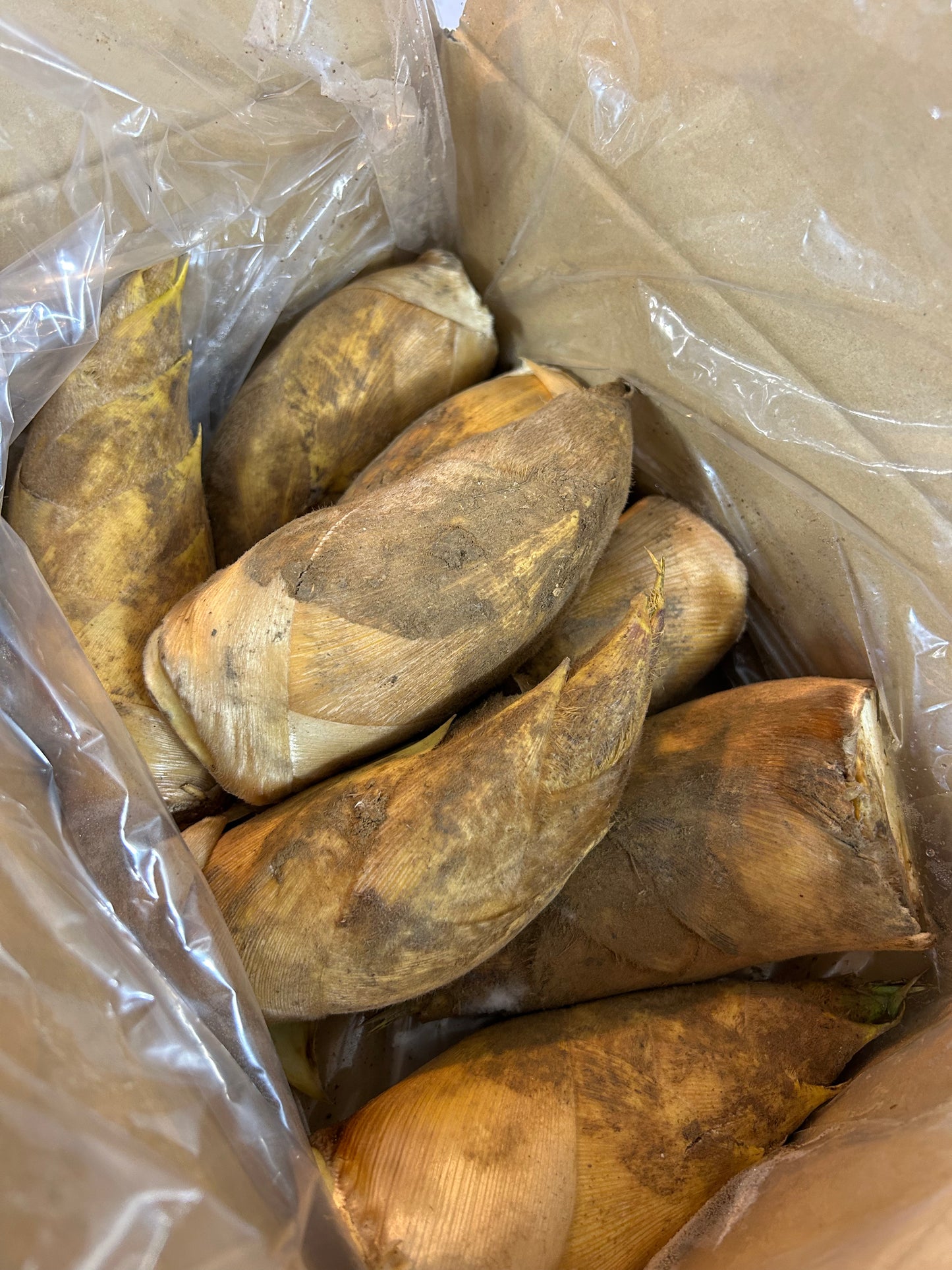 00 NEW 中国産 筍 ２kg・ボックス JAPAN FRESH BAMBOO SHOOTS 2KG BOX L Size 7 pieces / box