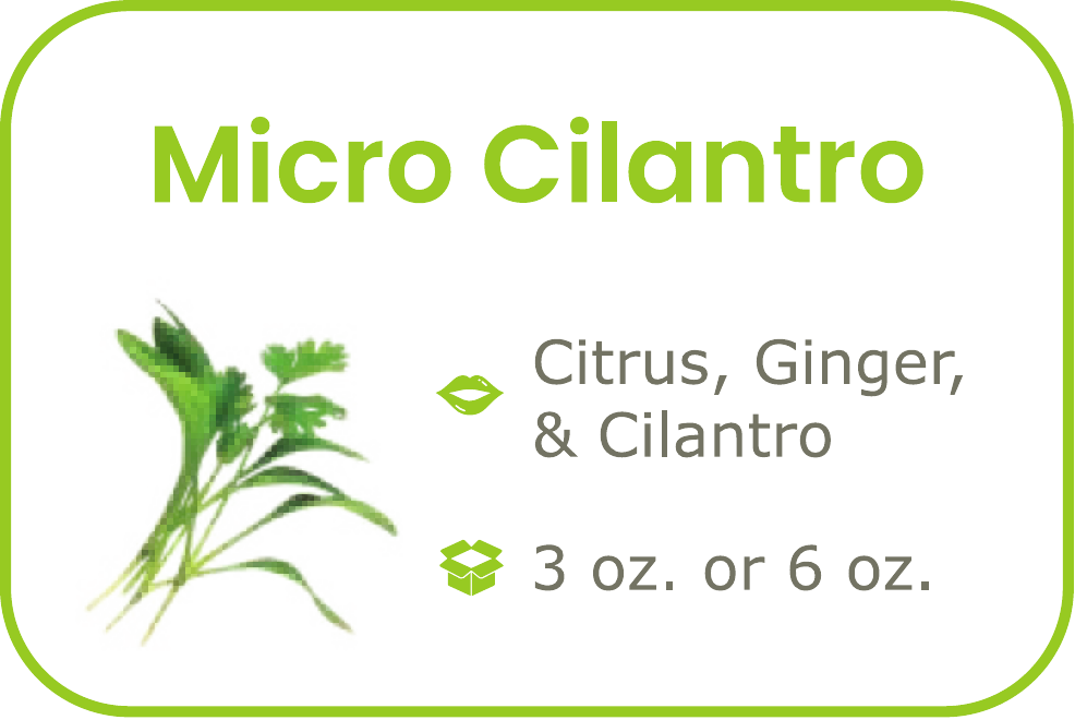 Micro Cilantro - start from 09/15/2026