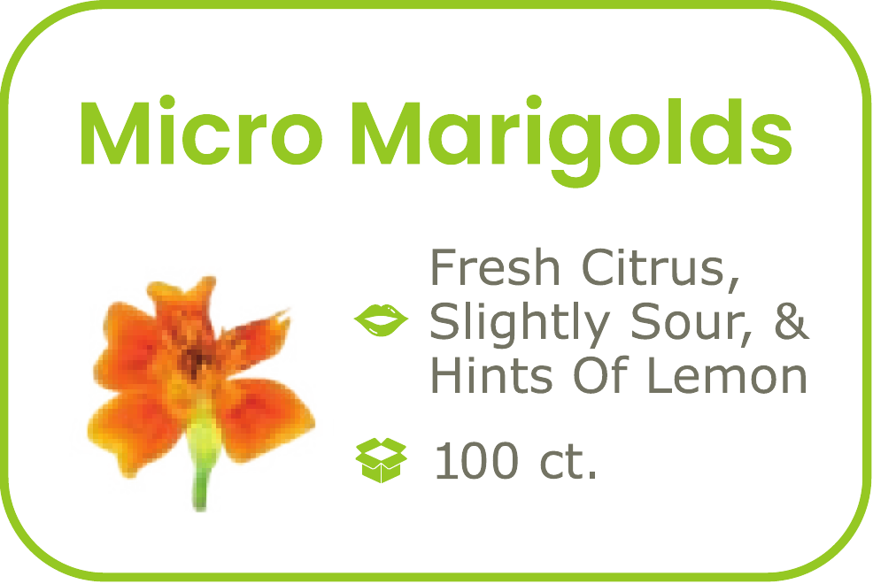 Marigold Flowers - start from 09/15/2026