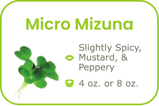 Micro Mizuna - start from 09/15/2026