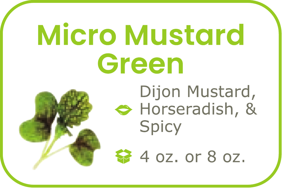 Micro Mustard Green - start from 09/15/2026