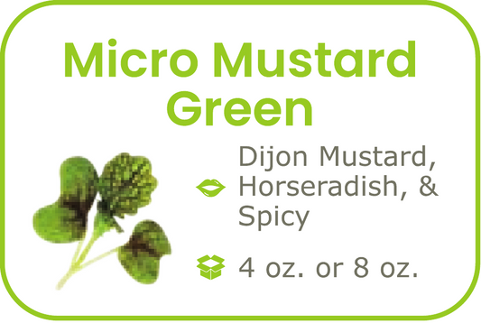 Micro Mustard Green - start from 09/15/2026