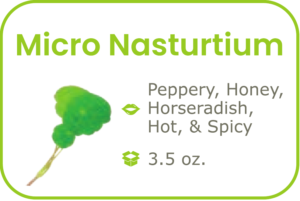 Micro Nasturtium - start from 09/15/2026