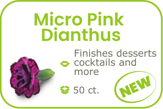 Micro Pink Dianthus- start from 09/15/2026