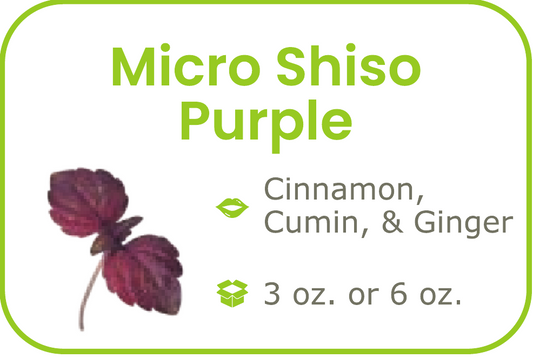 Micro Shiso Purple - start from 09/15/2026